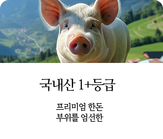 국내산 1등급