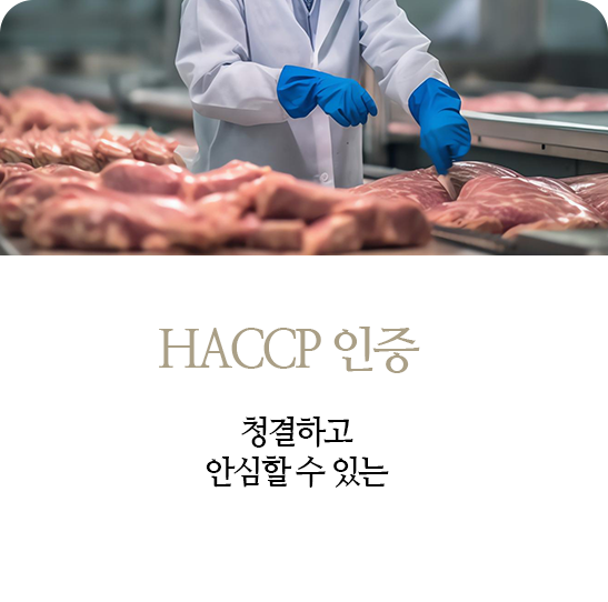 HACCP 인증